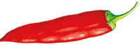 red hot chillipepper